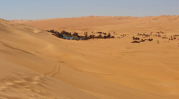 Oázis a Szaharában