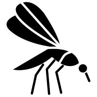 Miért csípnek a szúnyogok?