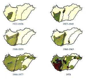 A parlagfű terjedése Magyarországon Dr. Béres Imre térképvázlatai alapján