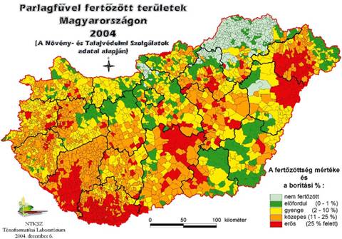 A parlagfűvel fertőzött területek hazánkban (2004)