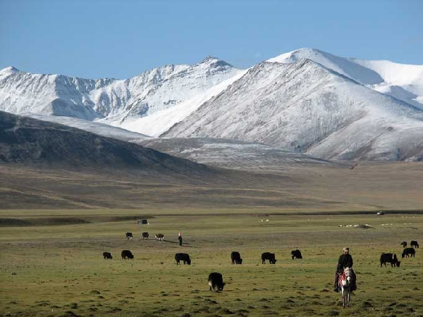 A tibeti-fennsík, jakokat terelő pásztorral