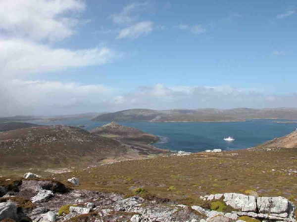Tájkép a Falkland-szigetekről II.