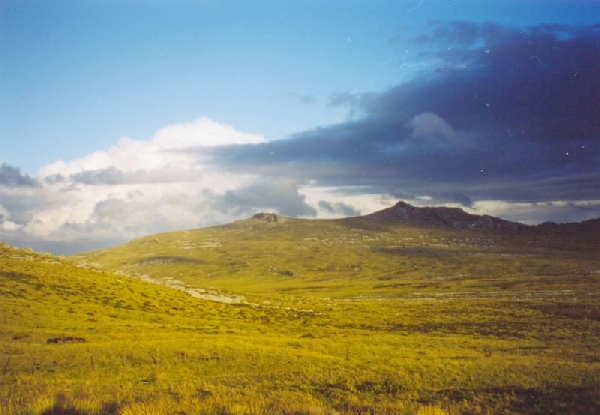 Falklandi-táj