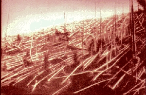 A Telegráf-erdő 1927-ben