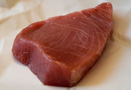 A tonhal húsa