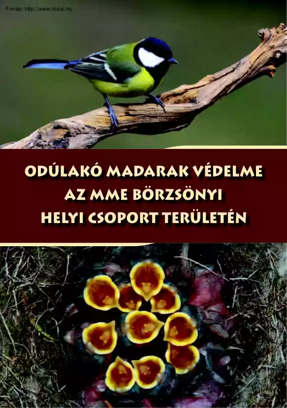 Nagy Csaba - Odulakó madarak védeleme az MME börzsönyi helyi csoport területé