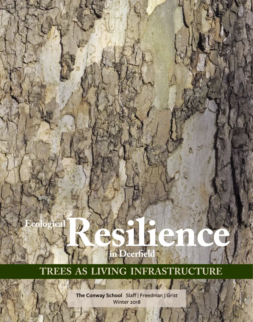 Ecological resilience in Deerfield, trees as living infrastructure