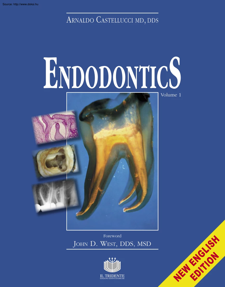 Arnaldo Castellucci - Endodontics