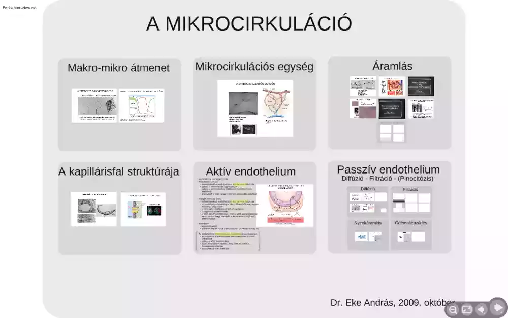 Dr. Eke András - A mikrocirkuláció