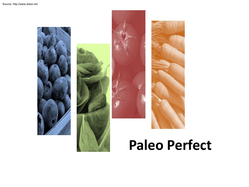 Paleo Perfect