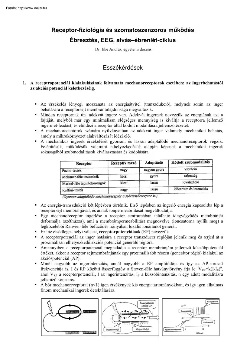 Dr. Eke András - Receptor fiziológia és szomatoszenzoros működés, ébresztés, EEG, alvás