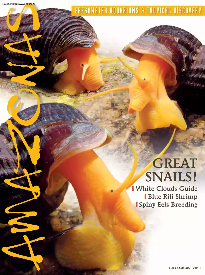 Hans-Stefano-Michael - Great snails