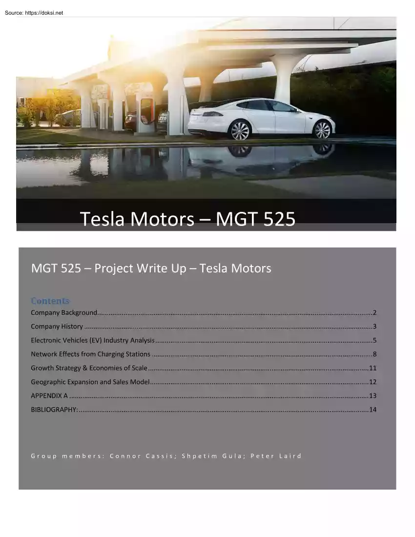 Tesla Motors, MGT 525