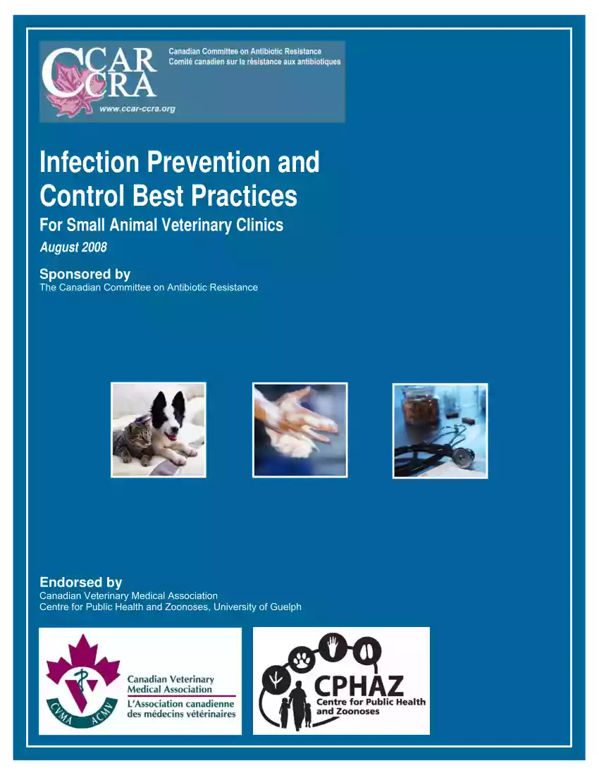 Infection Prevention and Control Best Practices
