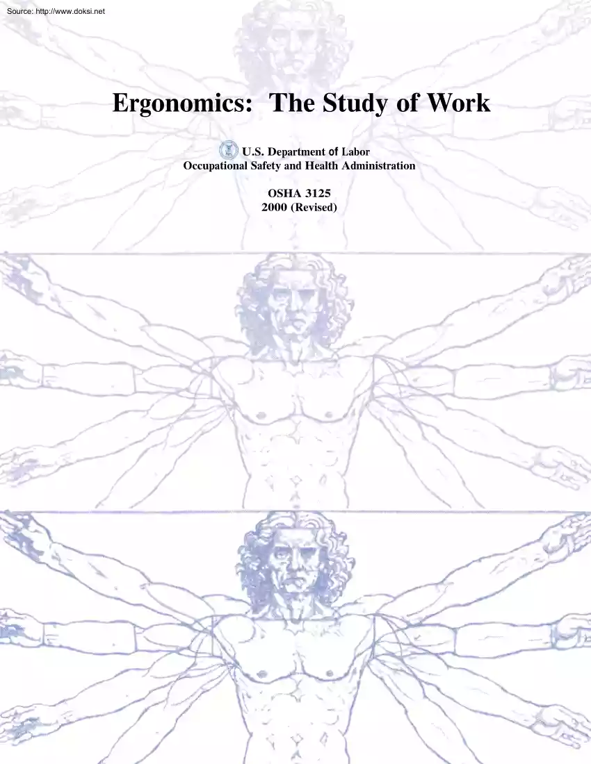 Ergonomics, The Study of Work