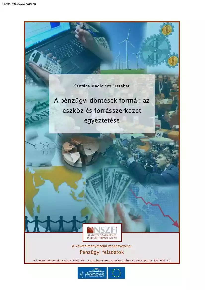Sántáné Madlovics Erzsébet - A pénzügyi döntések formái, az eszköz és forrásszerkezet egyeztetése