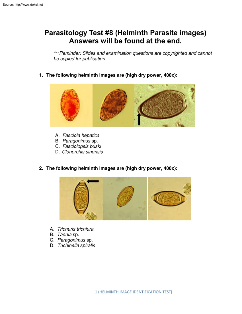 Parasitology Test, Helminth Parasite Images
