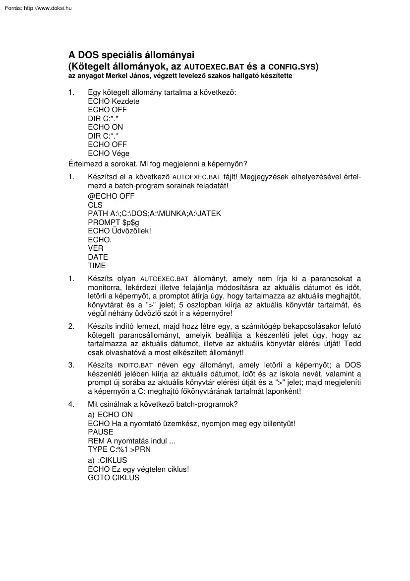 Merkel János - A DOS speciális állományai