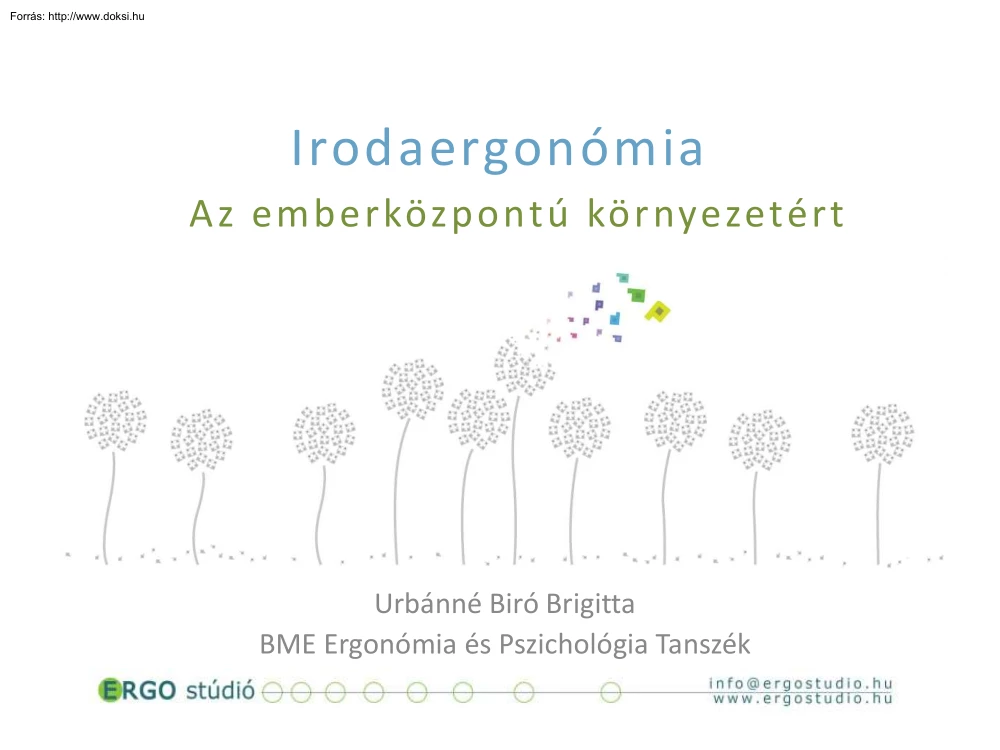 Urbánné Biró Brigitta - Irodaergonómia, Az emberközpontú környezetért