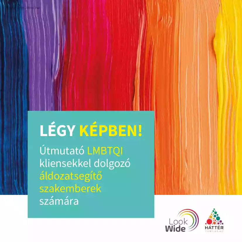 Légy képben, Útmutató LMBTQI kliensekkel dolgozó áldozatsegítő szakemberek számára