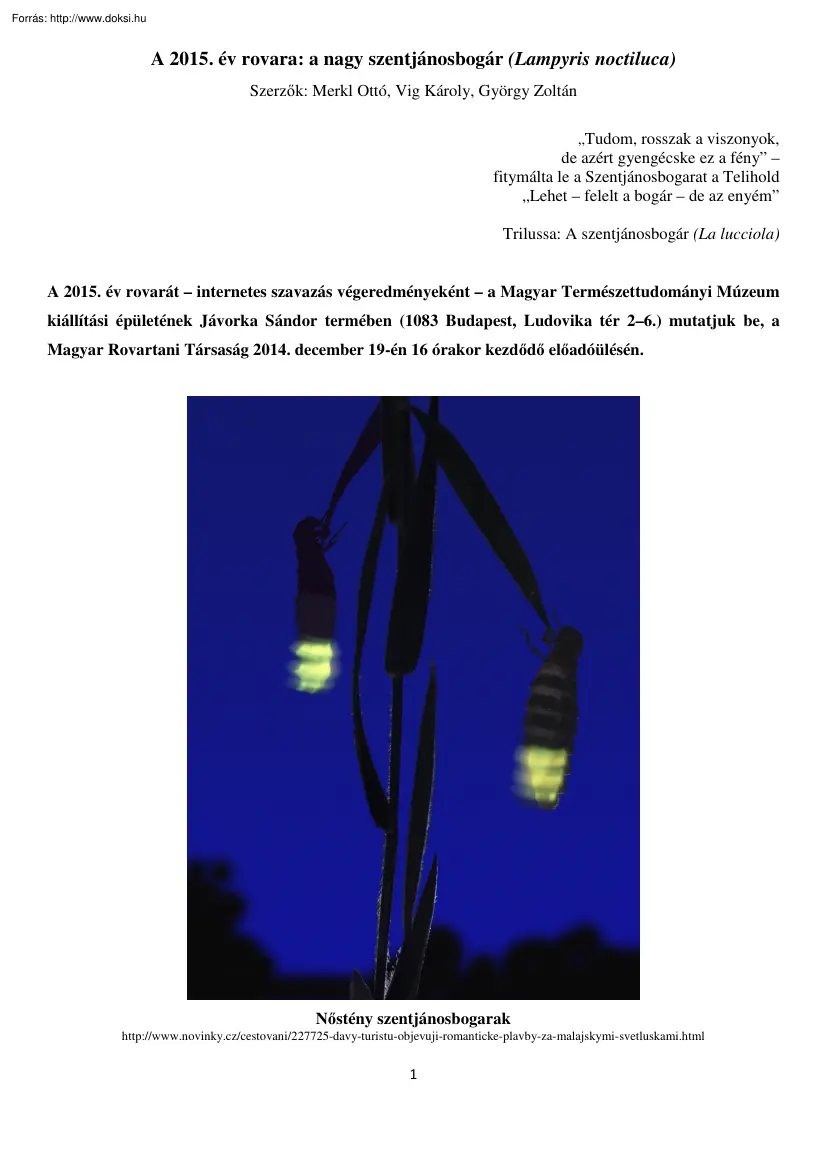 Merkl-Víg-György - A nagy szentjánosbogár
