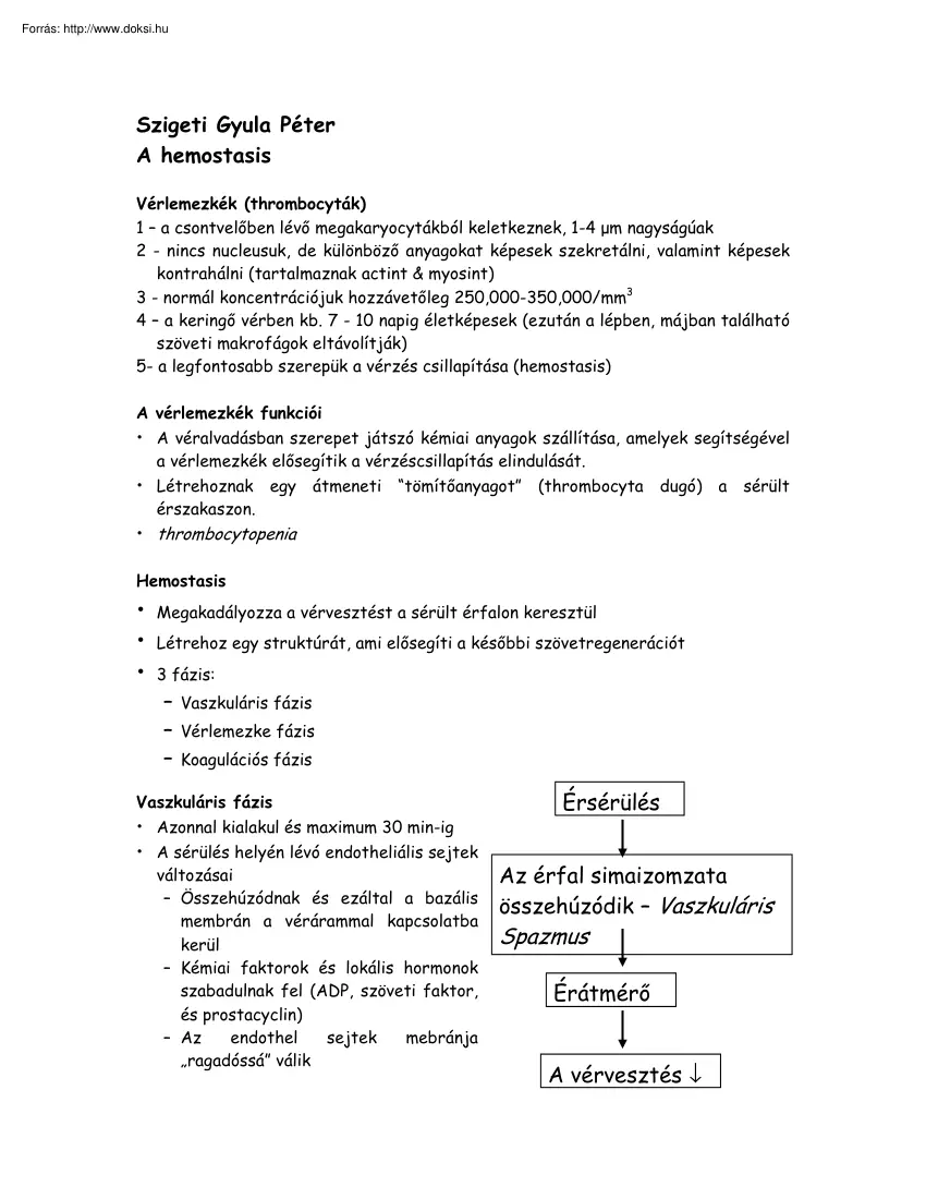 Szigeti Gyula Péter - Véralvadás, hemostasis