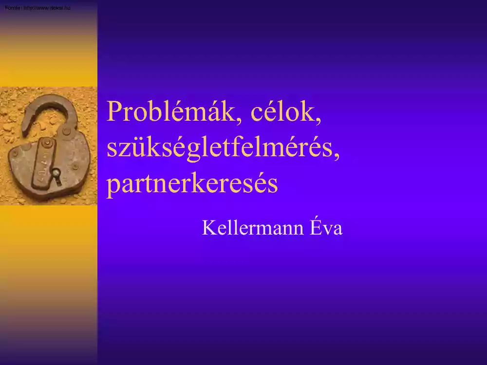 Kellermann Éva - Problémák, célok, szükségletfelmérés, partnerkeresés