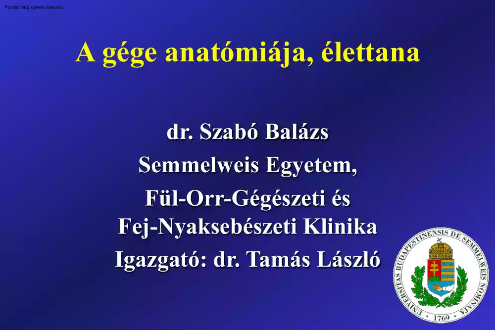 Dr. Szabó Balázs - A gége anatómiája, élettana