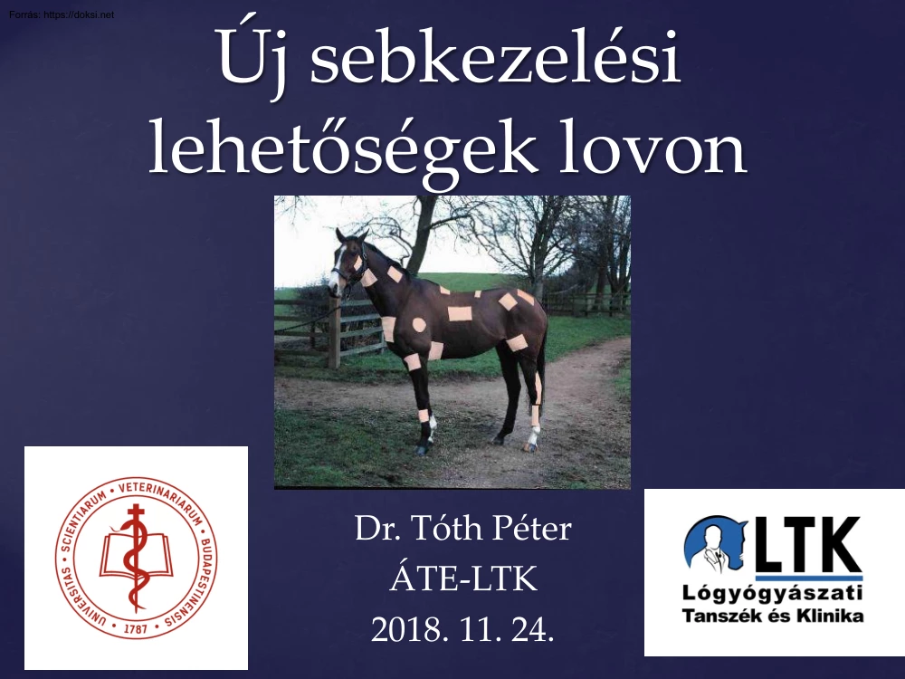 Dr. Tóth Péter - Új sebkezelési lehetőségek lovon