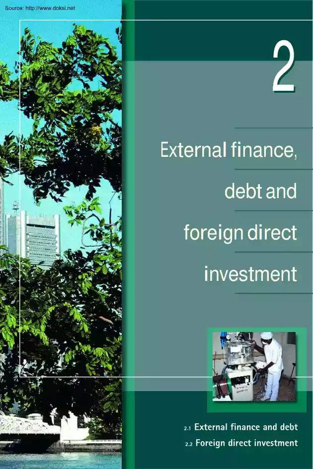 External Finance, Debt and Foreign Direct Investment