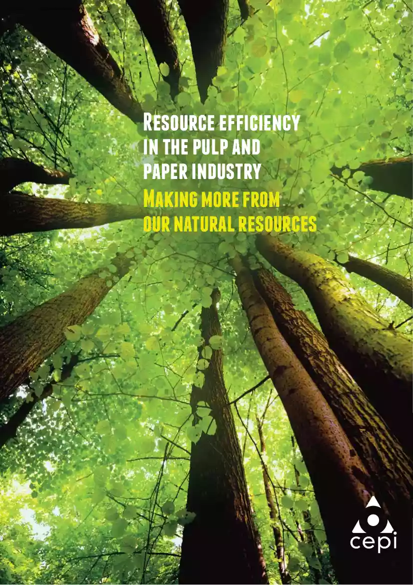 Resource Efficiency in the Pulp and Paper Industry