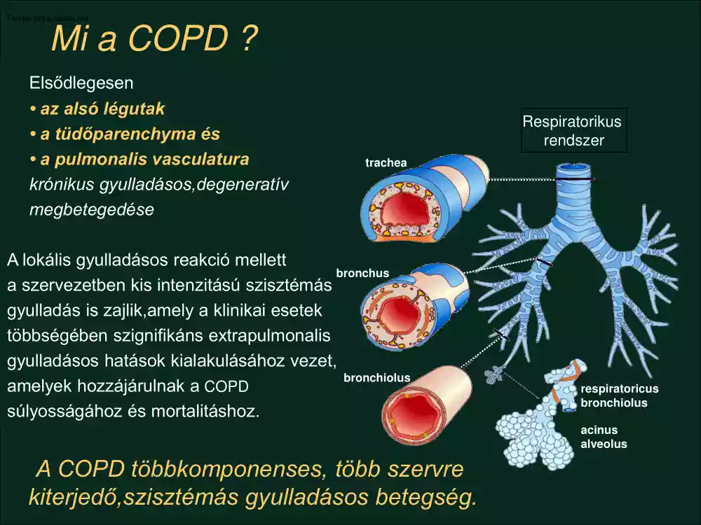 Mi a COPD