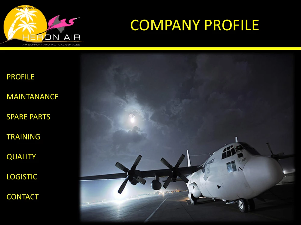 Heron Air, Company Profile