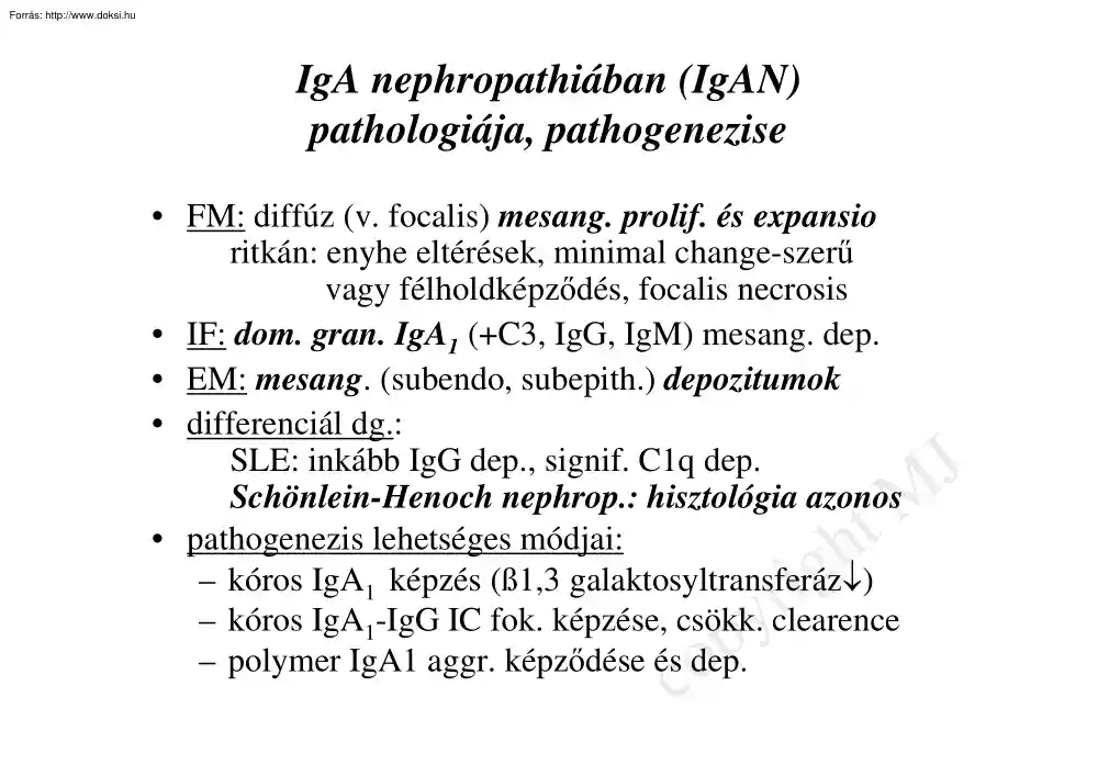 IgA nephropathiában (IgAN) pathológiája, pathogenezise