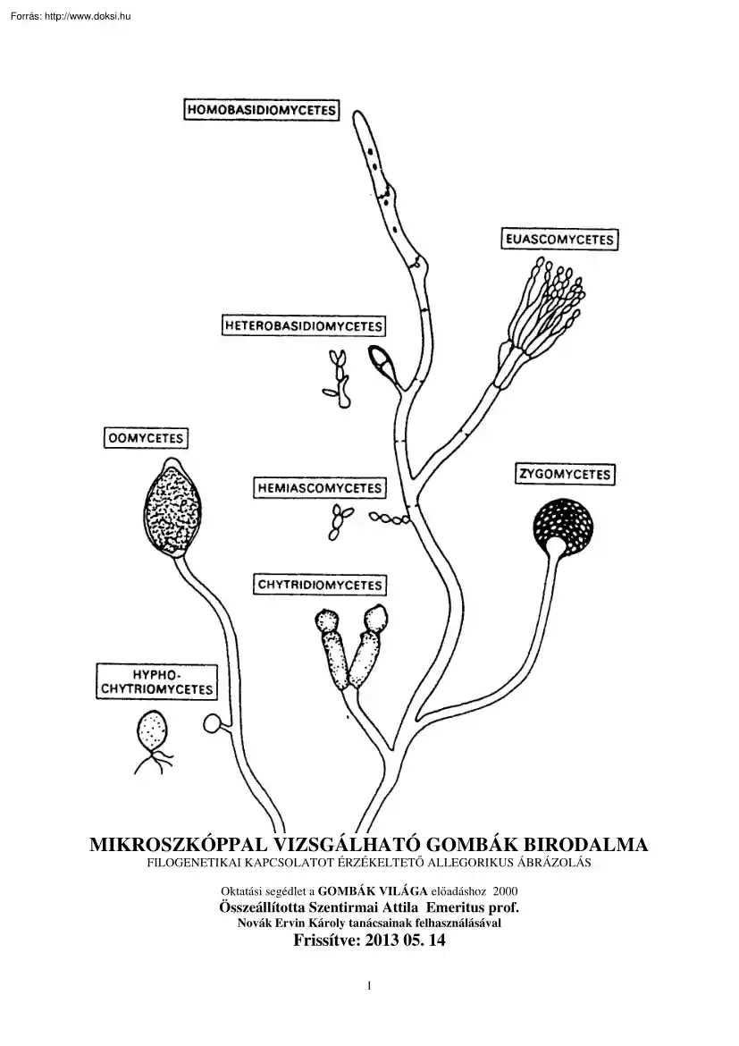 Szentirmai Attila - Mikroszkóppal vizsgálható gombák birodalma