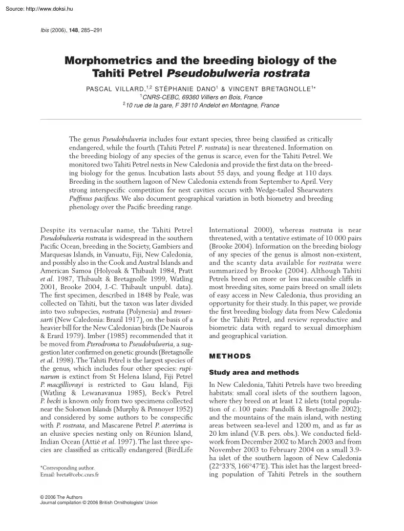Villard-Dano-Bretagnolle - Morphometrics and the breeding biology of the Tahiti Petrel Pseudobulweria rostrata