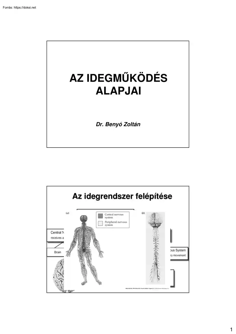 Dr. Benyó Zoltán - Az idegműködés alapjai