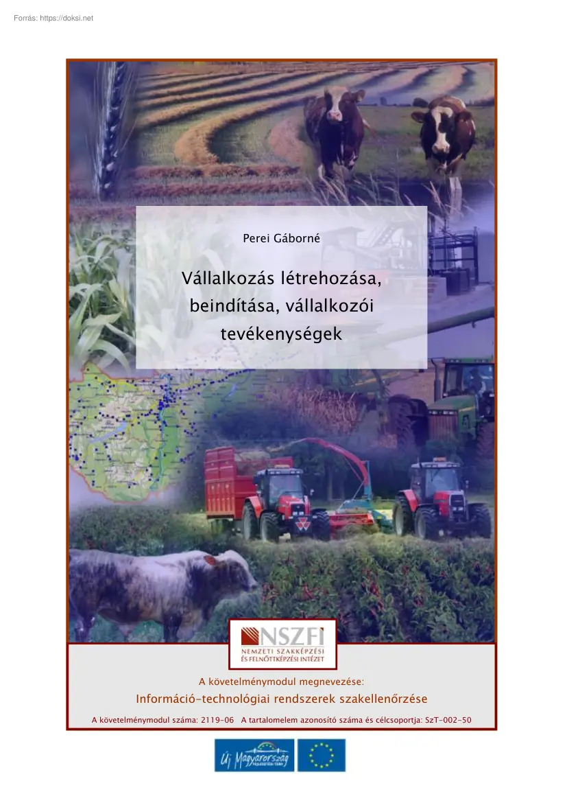 Perei Gáborné - Vállalkozás létrehozása, beindítása, vállalkozói tevékenységek
