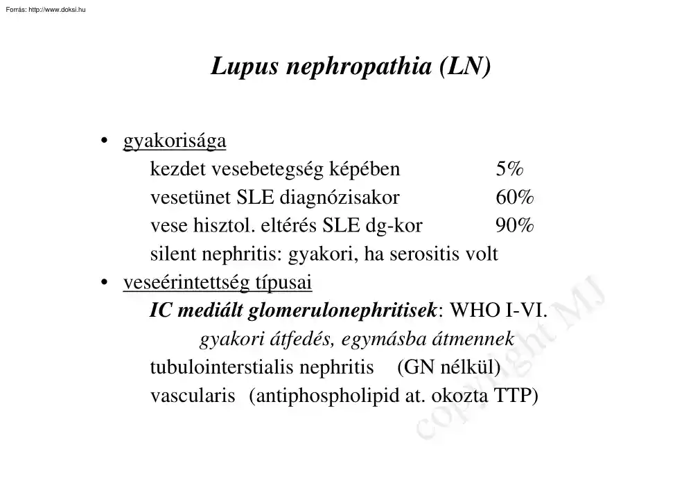 Lupus nephropathia