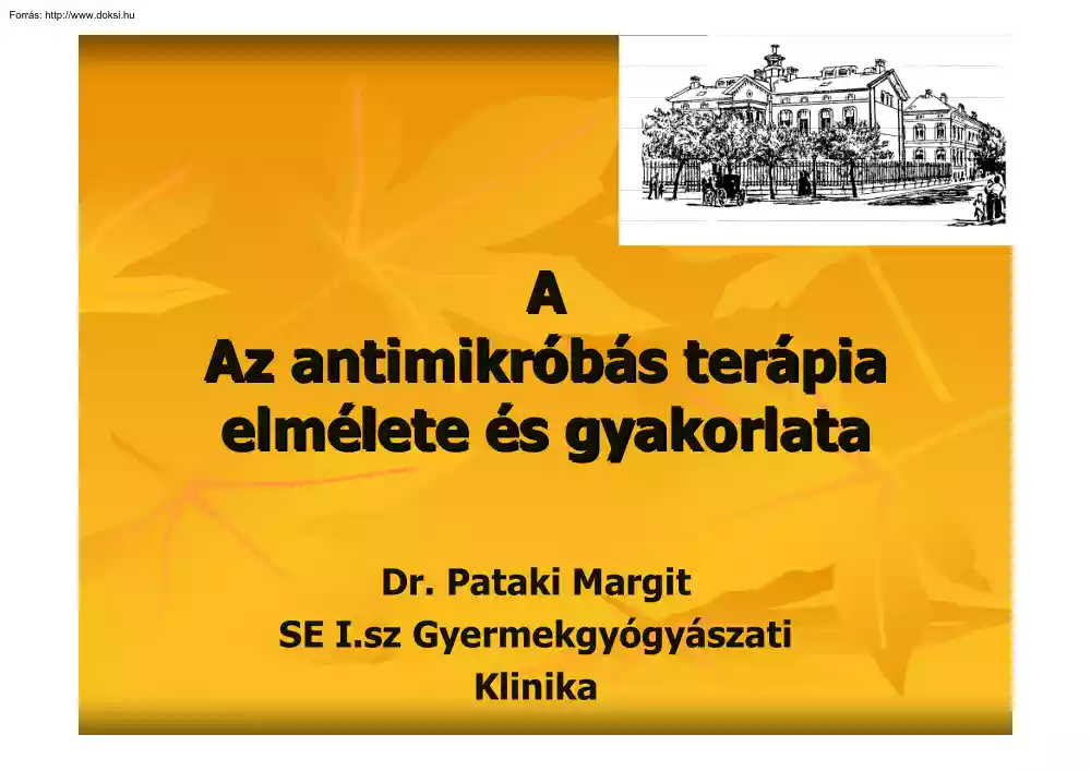 Dr. Pataki Margit - Az antimikróbás terápia elmélete és gyakorlata