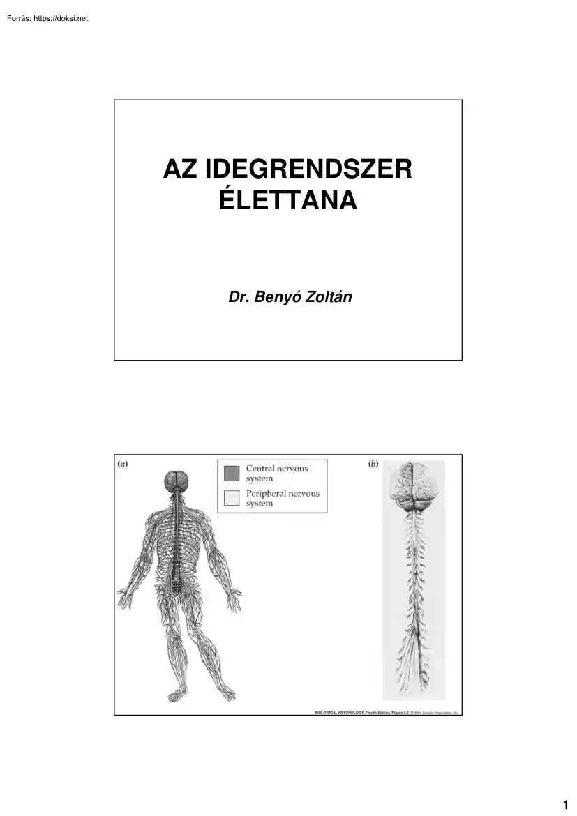 Dr. Benyó Zoltán - Az idegrendszer élettana