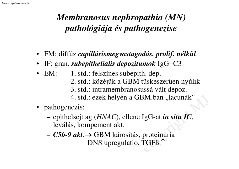 Membranosus nephropathia (MN) pathológiája és pathogenezise