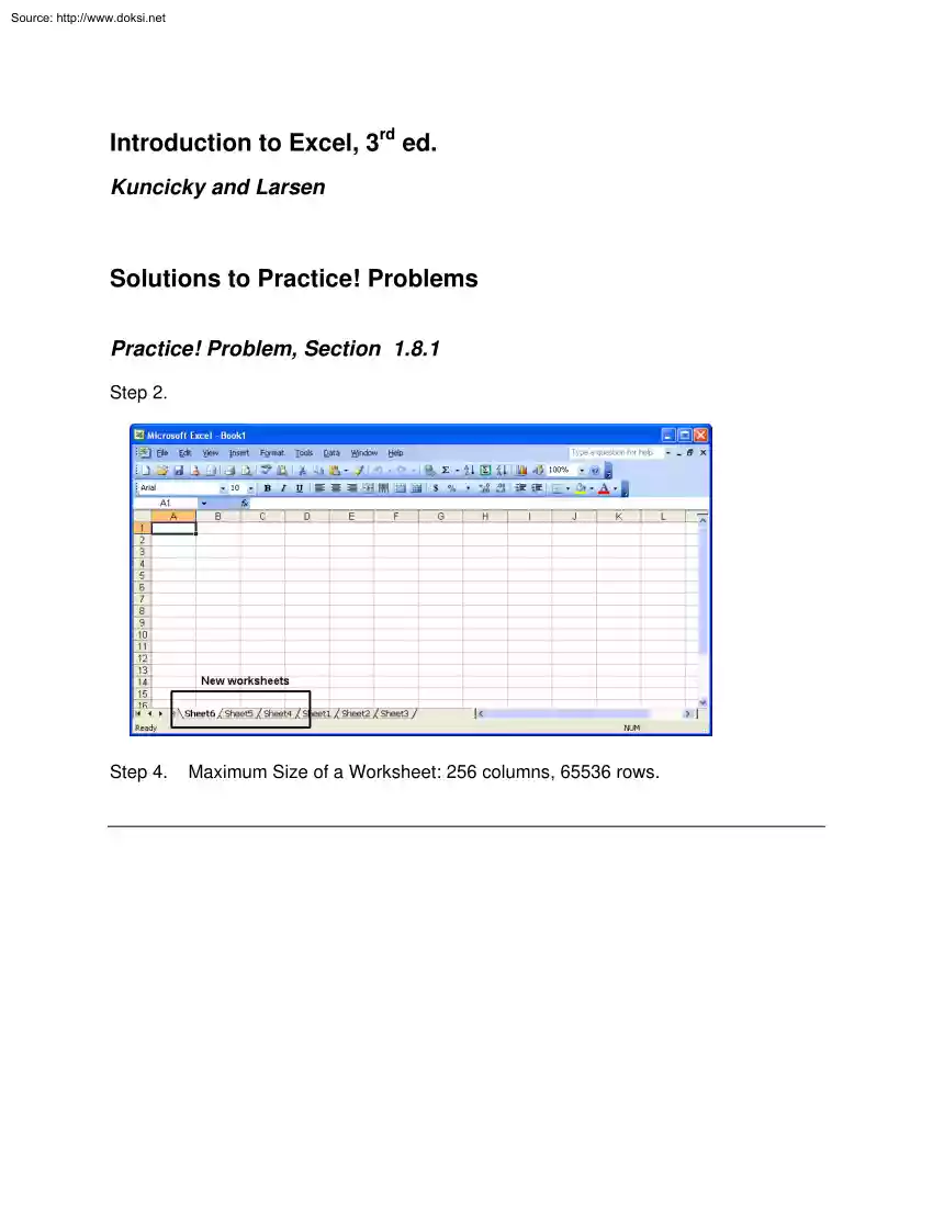 Kuncicky and Larsen - Introduction to Excel