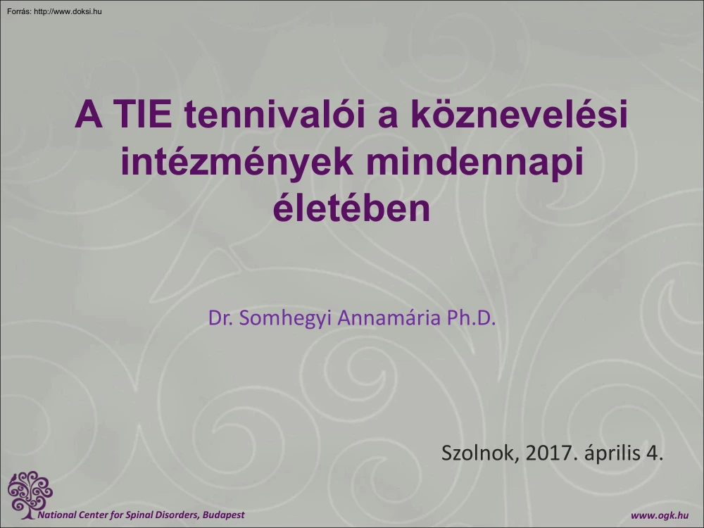 Dr. Somhegyi Annamária - A TIE tennivalói a köznevelési intézmények mindennapi életében