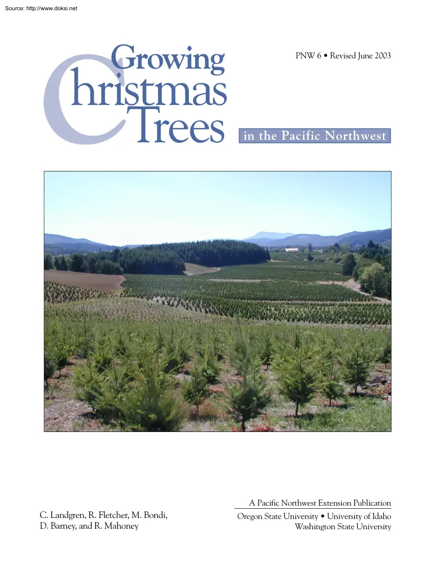 Growing Christmas Trees