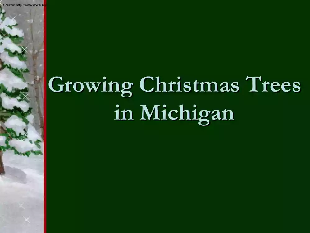 Growing Christmas Trees Growing Christmas Trees in Michigan