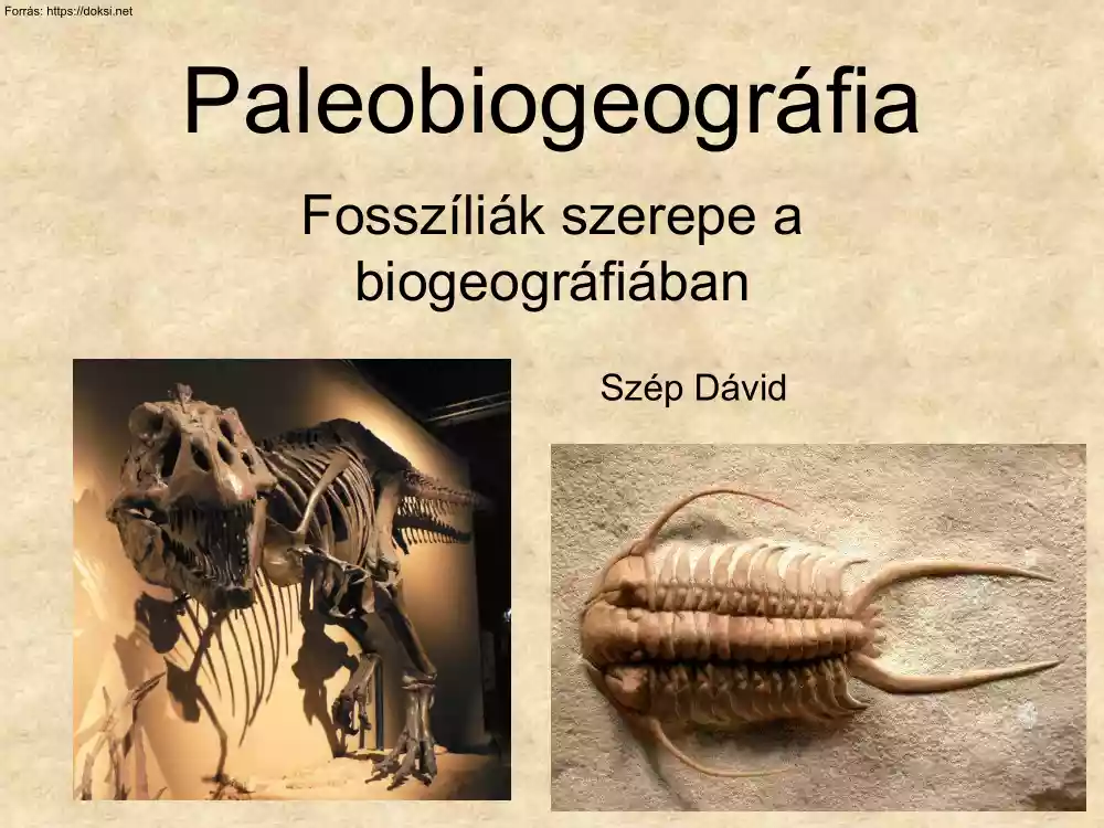 Szép Dávid - Paleobiogeográfia