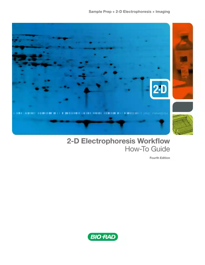 2D ElectroPhoresis Workflow, How to Guide