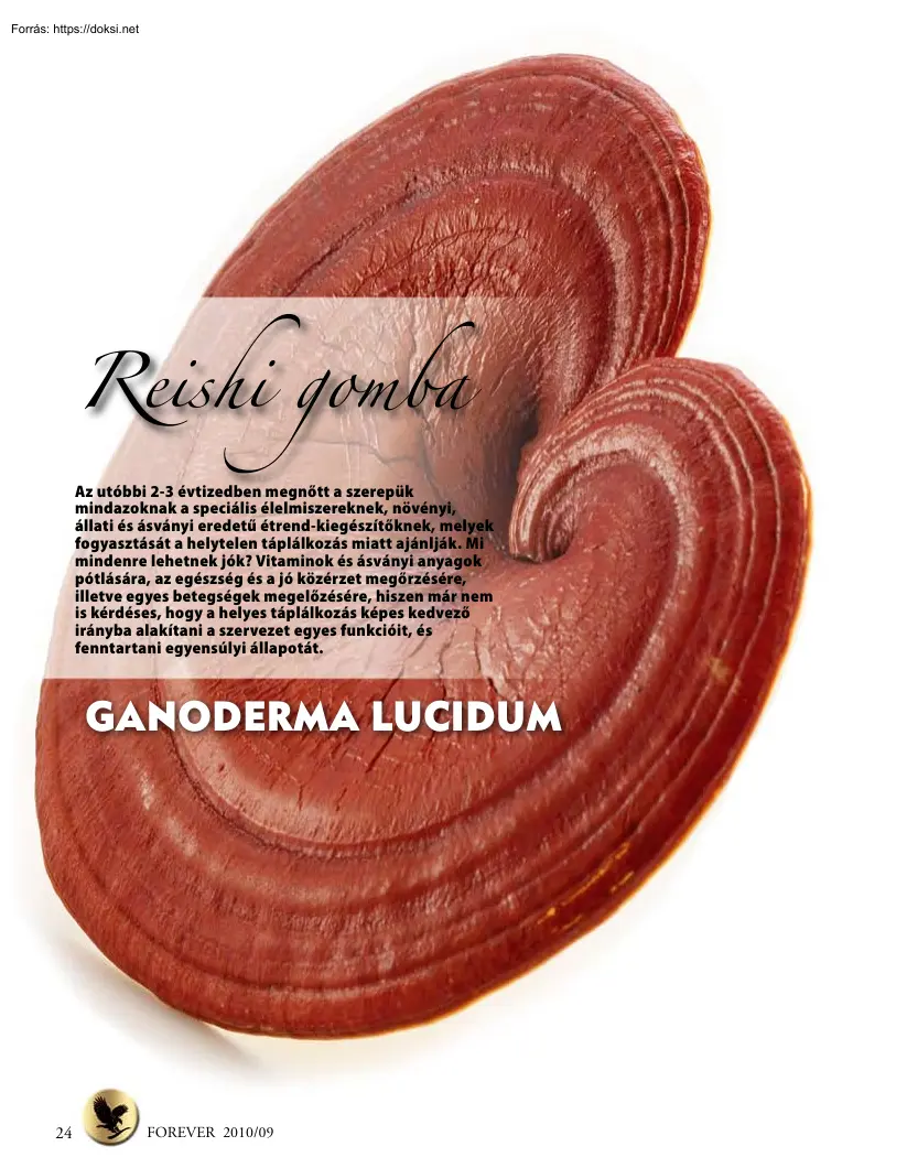 Reishi Gomba, ganoderma lucidum
