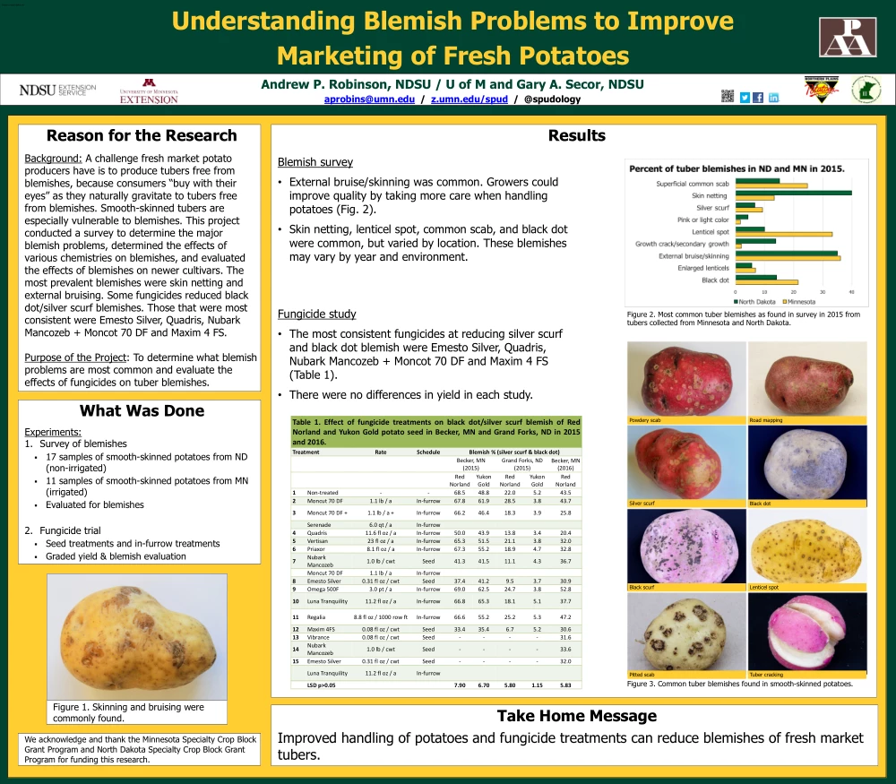 Robinson-Secor - Understanding Blemish Problems to Improve Marketing of Fresh Potatoes
